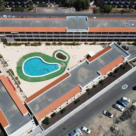 Estudio Con Wifi, Piscina Climatizada, Playa En Tenerife Sur Lägenhet *